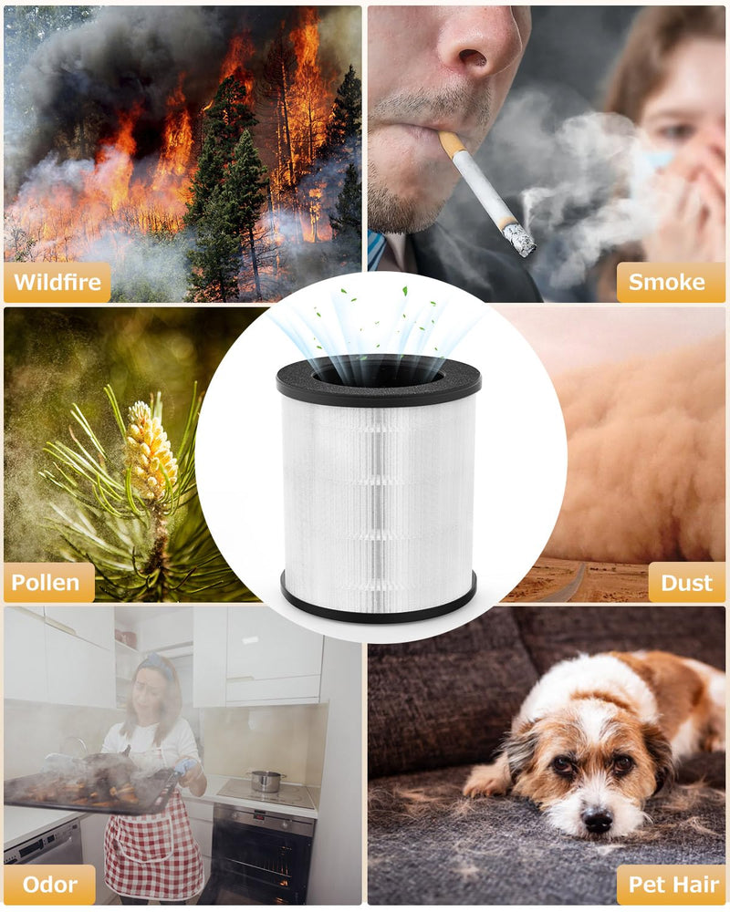 (1 PCS) Air Purifier B-D02U Replacement Filter, VEWIOR H13 True HEPA Air Cleaner Filter (Special for B-D02U Air Purifier) Universal Filter(1PCS)