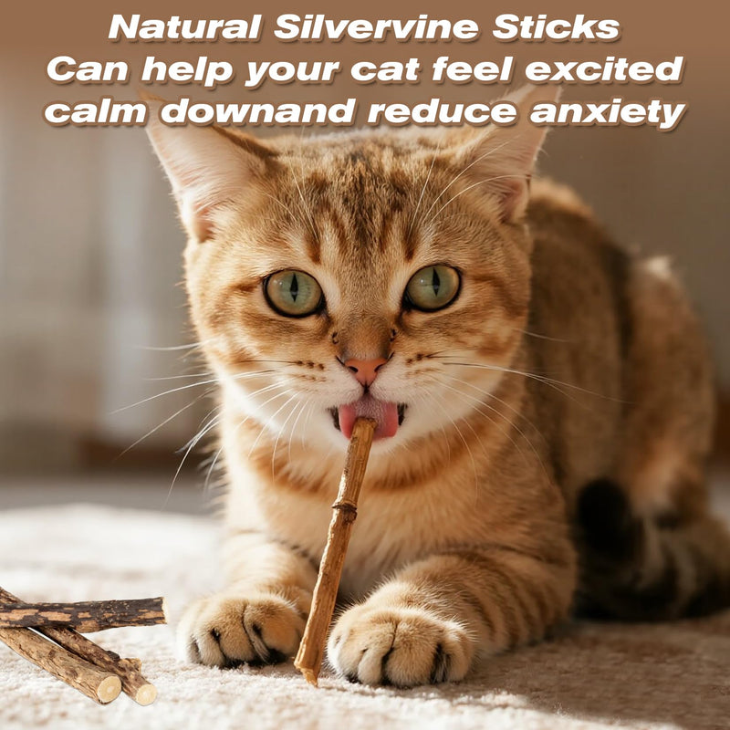 CARGEN Silvervine Cat Chew Sticks - 12 PCS Natural Kitten Chew Toys, Dental Cleaning Sticks, Indoor Cat Daily Treats & Entertainment Supplies