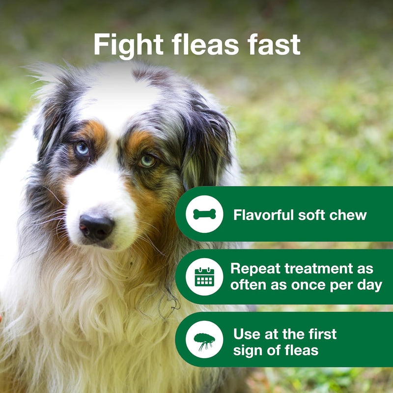 Bundle of Advantus Fast Acting Oral Flea Treatment Soft Chews Dogs 23-110 lbs. | 7 ct. + Advantage Household Fogger for Home (Pack of 3)