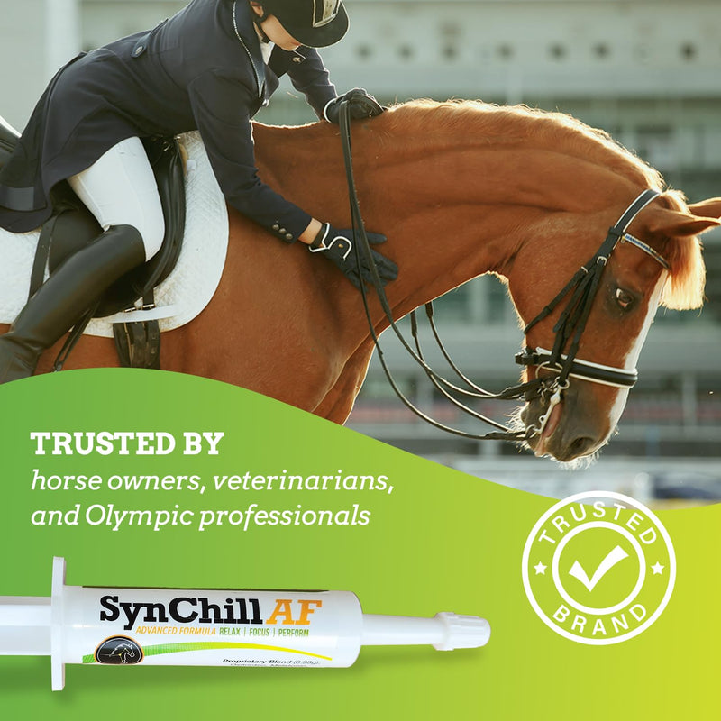 SynChill AF Calming Gel for Nervous Horses - Single Serving - Advanced Formula with L-Theanine, Increased Potency, 100% Natural Supplement, Disposition & Confidence Support for Horses - PawsPlanet Australia