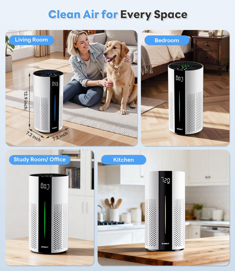 Original Replacement Filter for HAP609 Air Purifier – Efficiently Removes Dust Pollen Smoke and Pet Dander – Keeps Your Home Air Fresh and Clean, 2 Pcak, White HAP609-Filter-2P