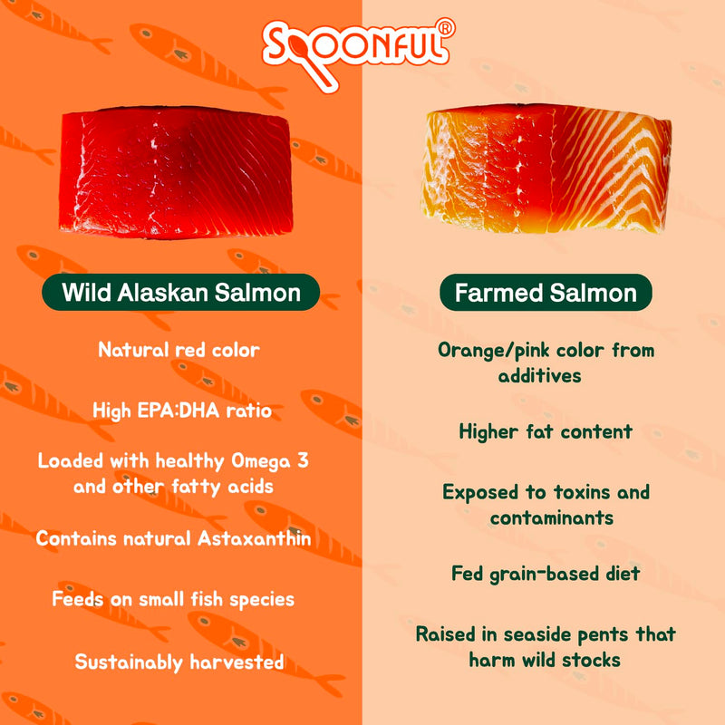 Spoonful Salmon Fresh - 100% Natural Wild-Caught Alaskan Salmon Oil – 220 mg Mini Softgel, 42 Mini Softgels | DHA, EPA & Natural Astaxanthin, Non-GMO, Sustainable, Made in USA (42)
