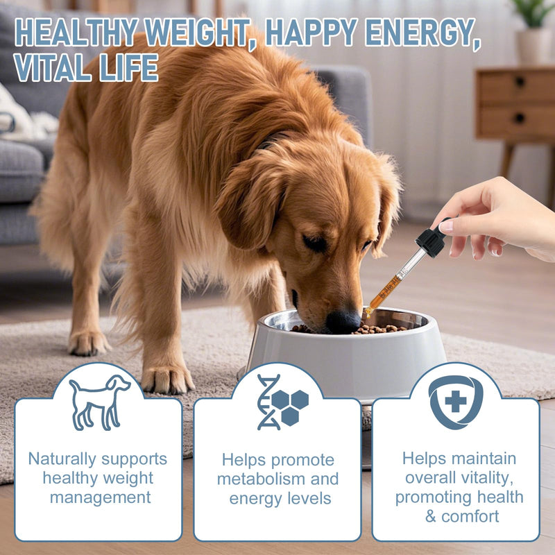 Weight Management Drops for Dogs, Effective Dog Weight Loss Drops, Healthy Weights Nutritional Supplement, Energy Metabolism Support, Weights Loss Pet Food, Natural Solution Hunger Control Supplements