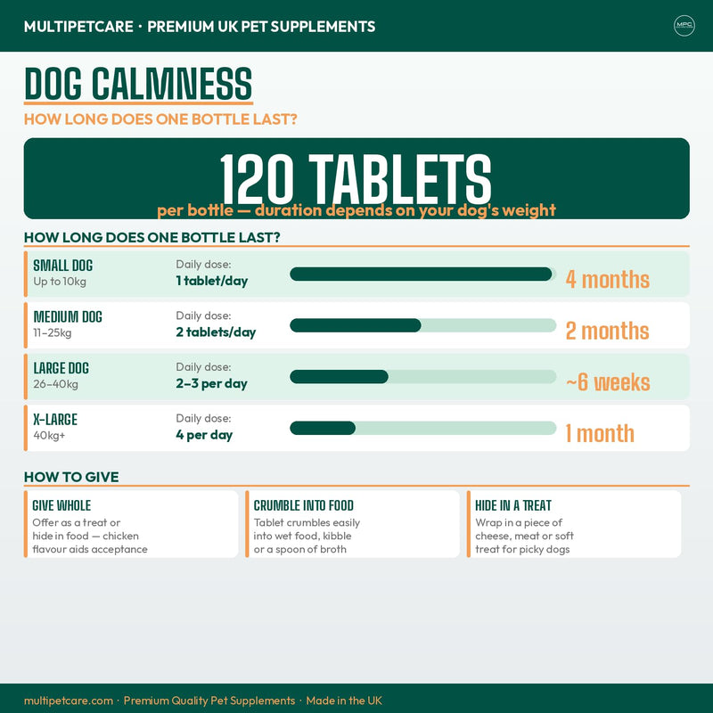 Calming Chews for Dogs – Daily Anxiety & Hyperactivity Support | L-Theanine, Taurine, Magnesium & Ginger | For Separation, Storms, Fireworks & Travel | Chicken Flavor Tablets | UK GMP | 120 Ct