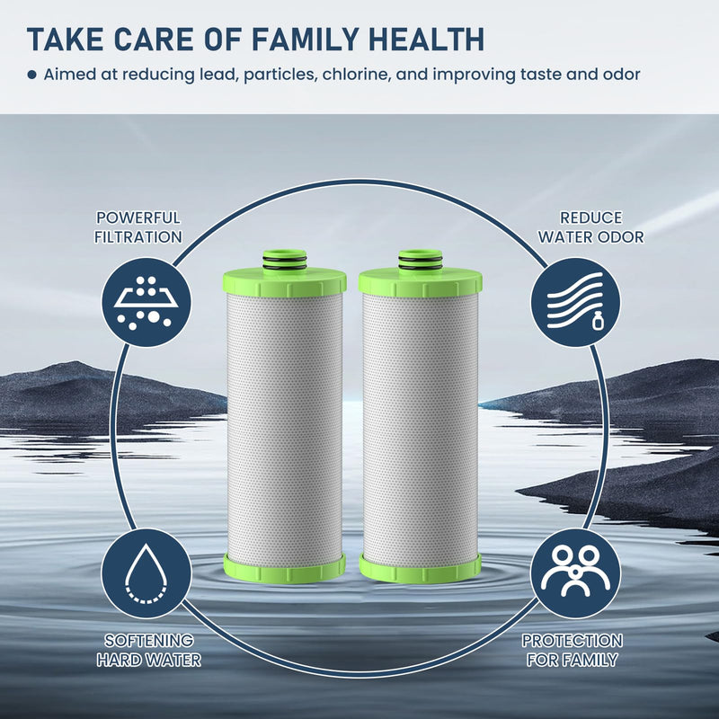 AO-US-200-R Water Filter Replacement Cartridge Compatible with AO Smith Advanced Water Filtration System, 1 Set (2 Counts)