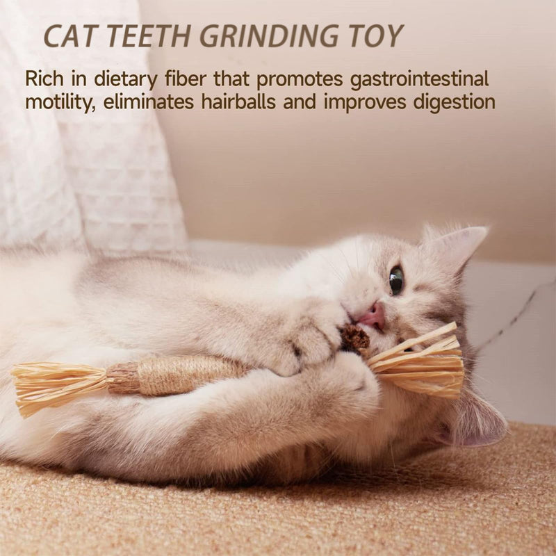 UBIETY Natural Silvervine Dental Sticks, silvervine Sticks for Cats，Natural Cat Chew Stick, Interactive Kitten Chew Playthings, for Indoor Kitty Nip Teeth Cleaning Dental Care Biting (10PCS) 10PCS
