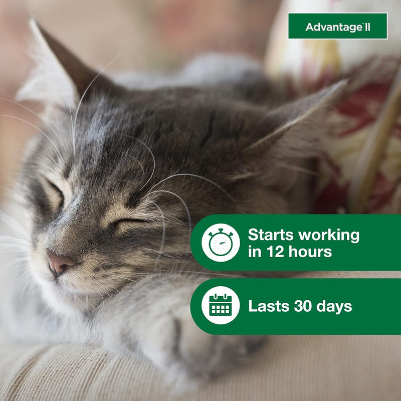 Bundle of Advantage II Vet-Recommended Flea Treatment & Prevention | Cats 5-9 lbs. + Advantage Household Spot & Crevice Spray 24 oz. Small Cat + Household Spray
