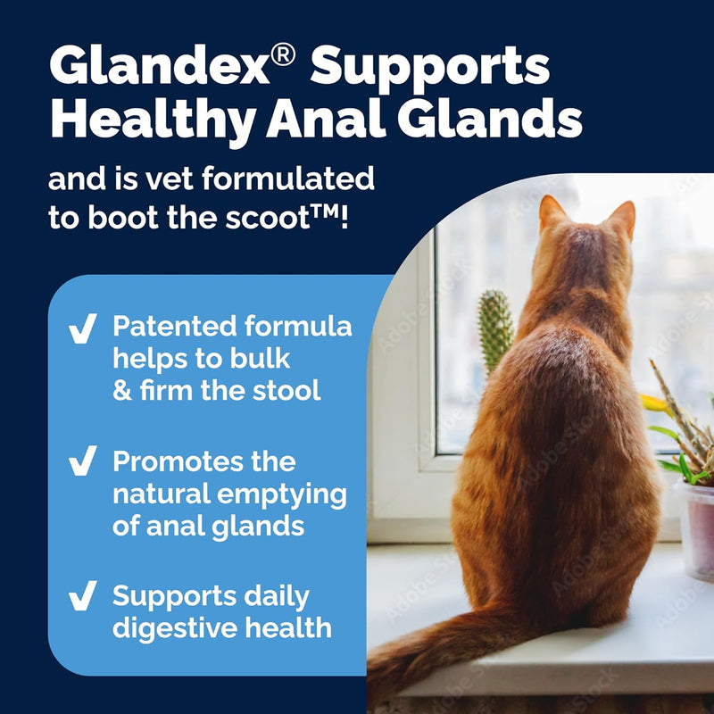 Glandex Feline Anal Gland Fiber Supplement Powder for Cats with Digestive Enzyme, Probiotics and Pumpkin, Vet Recommended for Healthy Bowels - Tuna Flavored 4.0 oz, Scoop Included - NewNest Australia