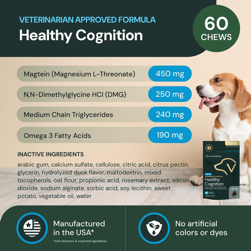 VetriScience Veterinary Strength Healthy Cognition Chews - Senior Wellness Supplement for Dogs - Supports Cognition, Immune Function & Metabolism - 60 Count
