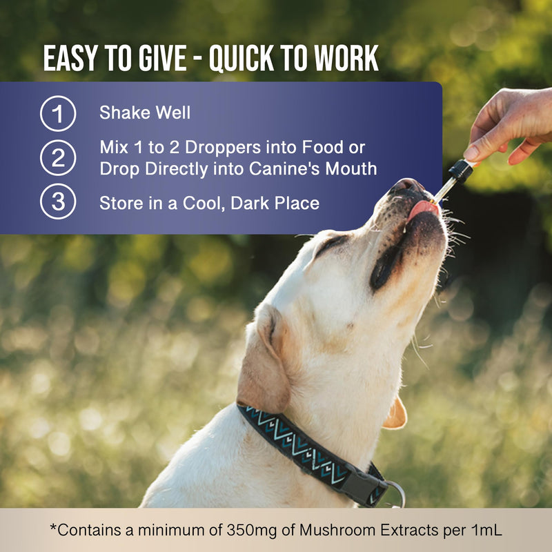 MycoDog Breathe Mushroom Extract & Adaptogen Tincture for Canines - Mushroom & Ashwagandha Supplements for Dogs with Breathing Challenges - Reishi Mushroom, Chaga, Cordyceps Mushroom & Artist Conk - PawsPlanet Australia