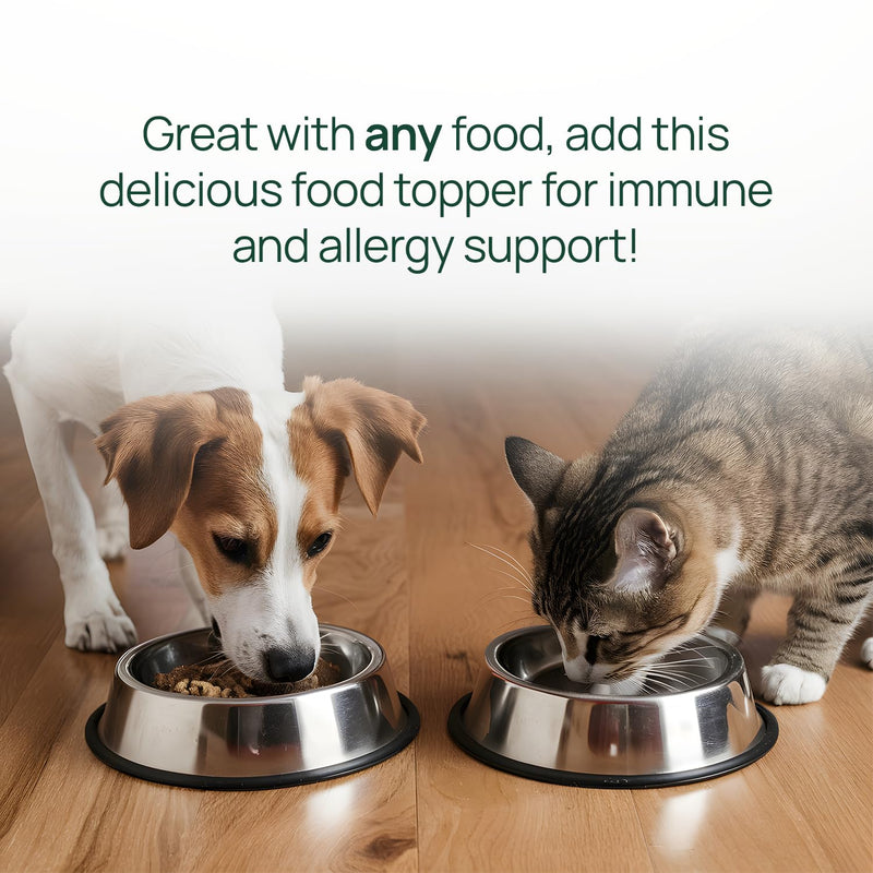 pawTree Salmon Oil-Dog and Cat Fish Oil Supplement-Ideal for excessive shedding control, seasonal allergies, itch relief, dry, irritated skin. With over 15 heart-healthy Omega-3 & Omega-6 Fatty Acids. 15 fl Oz - PawsPlanet Australia