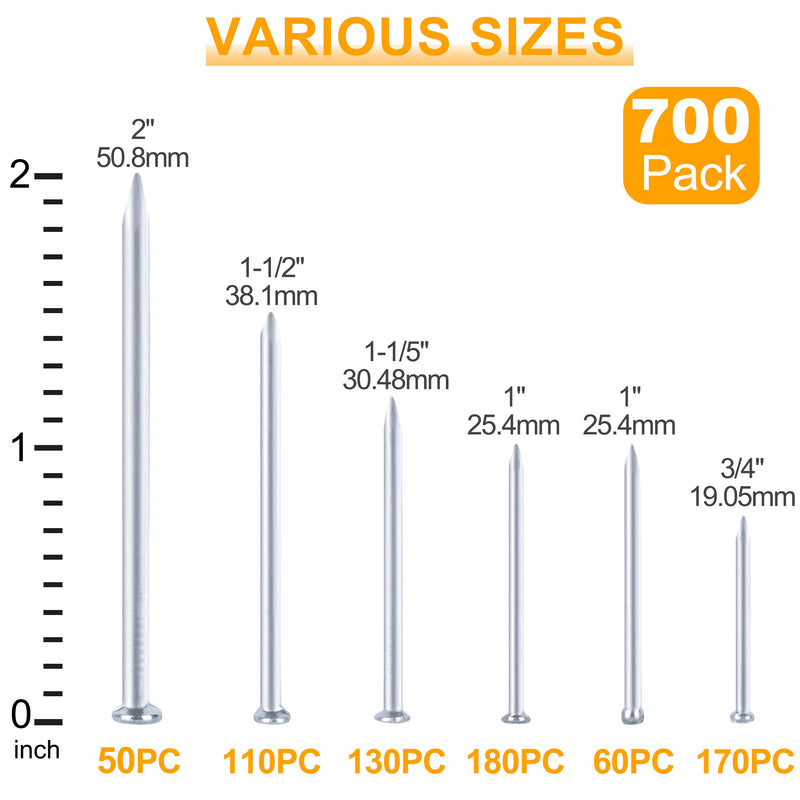 KURUI 700pcs Hardware Nails for Hanging Pictures Assorted Kit, Up to 2"-Long Picture Hanging Nails for Wall Drywall Wood, Finish Nails Assortment Kit, 640 Frame Nails and 60 Small Finishing Nails 700Pcs Galvanized Nails