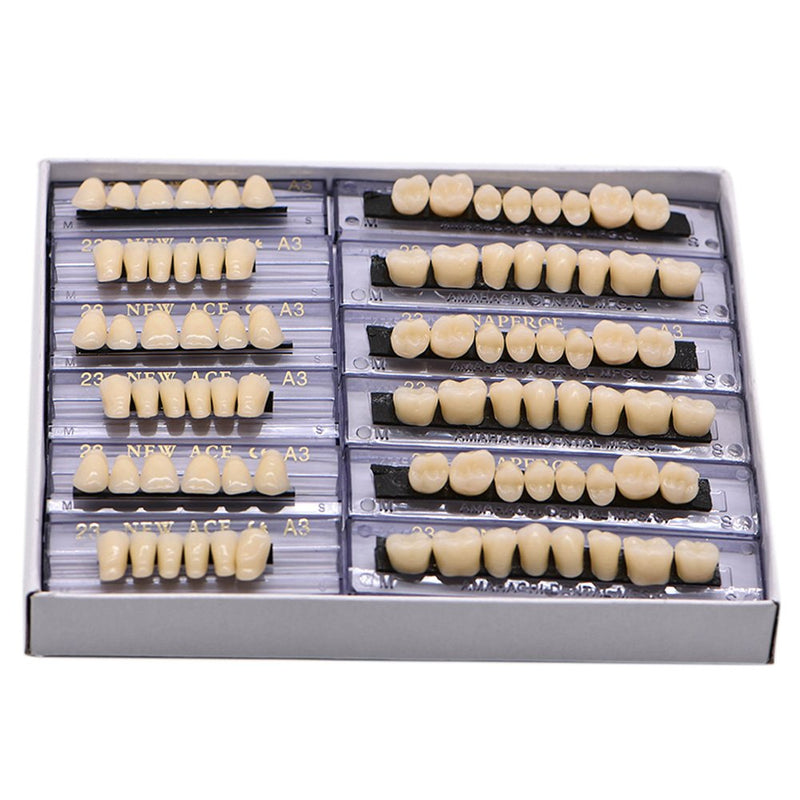 Angzhili Dental Synthetic Acrylic Resin False Teeth for Halloween Horror Teeth Denture Teeth Sets Shade A3 Upper And Lower Acrylic Teeth Sets(168pcs)