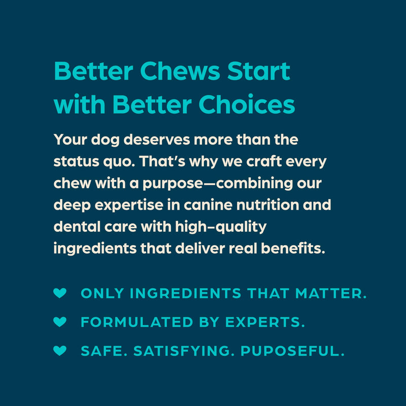 Chewsday Fresh Mint Flavor Dental Chews, Large Dog Treats, Healthier Teeth and Fresher Breath, Enzyme Powered for Advanced Cleaning, Made in the USA, 9 Count 9 Count (Pack of 1)