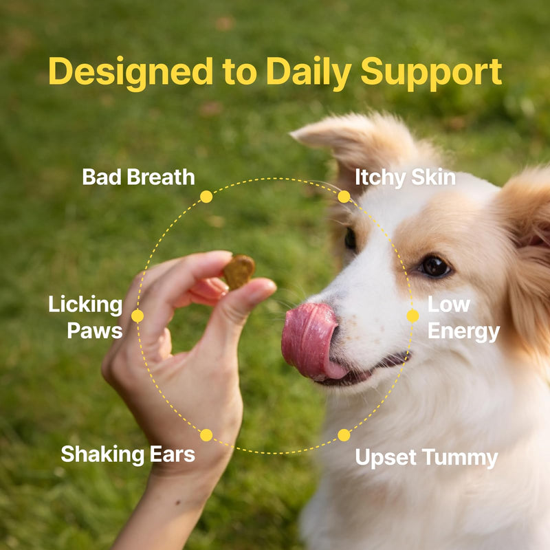 PENPEN Probiotics for Dogs (180 Chews) Dog Allergy Relief Chews (50 Chews)