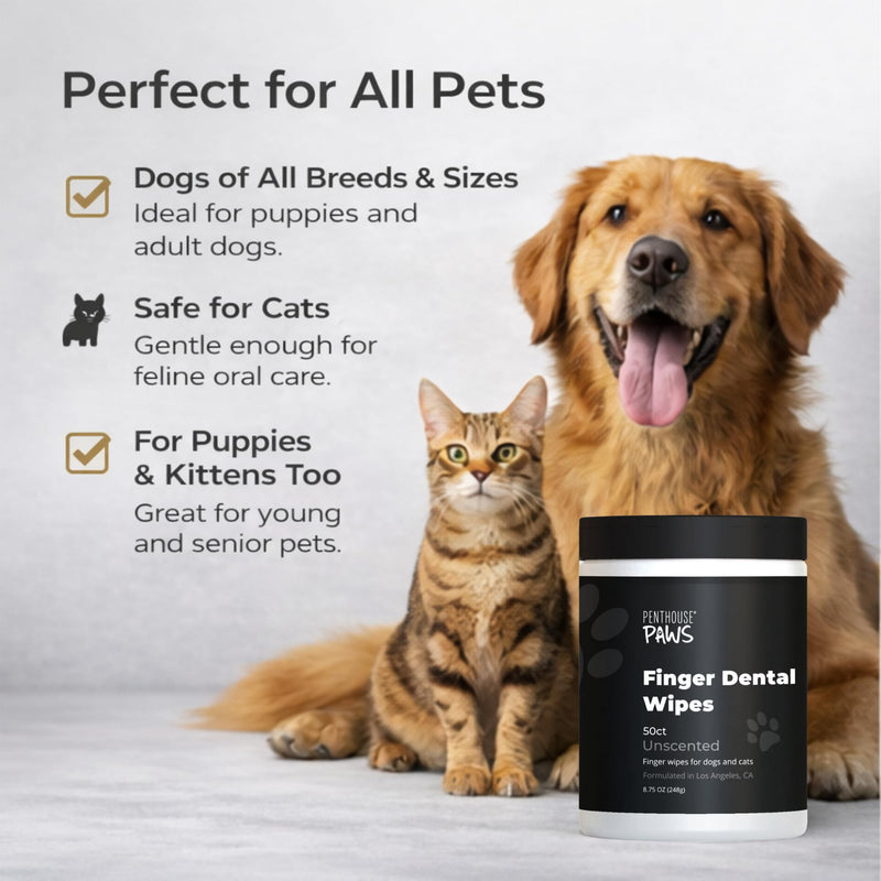 PENTHOUSE PAWS Dog Dental Wipes for Teeth Cleaning, 50 Finger Wipes for Dogs & Cats, Helps Reduce Plaque & Tartar, Fresh Breath Support, Aloe Vera & Coconut Oil, Toothbrush & Toothpaste Alternative