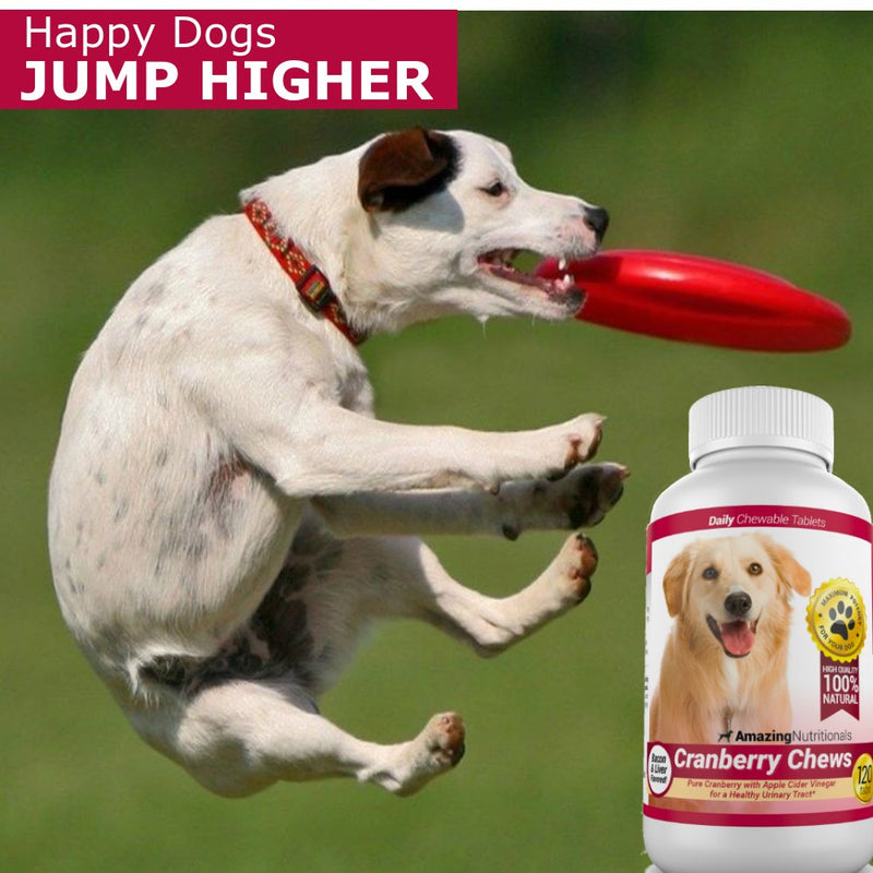 Amazing Cranberry for Dogs Pet Antioxidant, Urinary Tract Support Prevents and Eliminates UTI in Dogs, 120 Chews 1 Bottle - PawsPlanet Australia