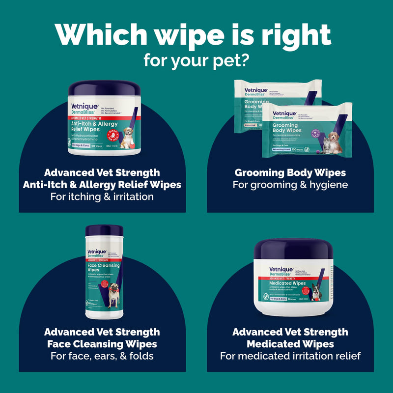 Vetnique Dermabliss Chlorhexidine for Dogs & Cats Wipes - Ketoconazole Medicated Antibacterial & Antifungal Skin Wipes for Hot Spots, Yeast Infection, Yeasty Paws, Itch & Smelly Folds, 50 Count Small 50 Count (Pack of 1) Medicated Skin Wipes