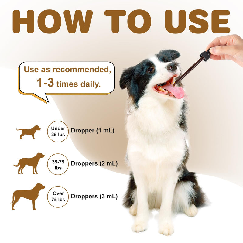 Dog Lumps and Bumps Treatment – Mushroom Supplement for Dogs – Lipoma Reduction, Boosts Immune Health, and Enhances Energy – with Reishi & Turkey Tail Mushrooms, 3.52 oz (Liquid)