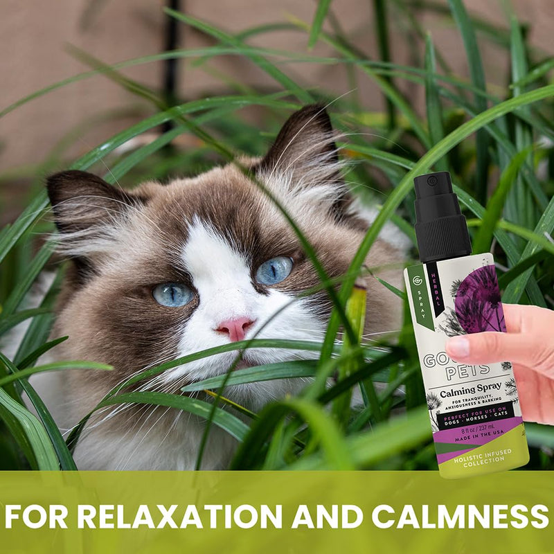 Holistic Natural Derived Calming Pet Spray for Anxiety: Providing Stress Relief: Veterinarian Recommended - Made in USA - 8 oz - PawsPlanet Australia