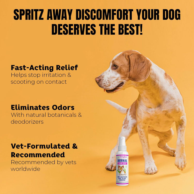 Petglow Anal Gland Medicine, Anal Cleaning for Dogs, Anal Gland Support, Pet Grooming Spray, Treats and Prevents Dog Anal Gland Infection, Feline Anal Gland Relief Hygiene Spray - 4 fl oz