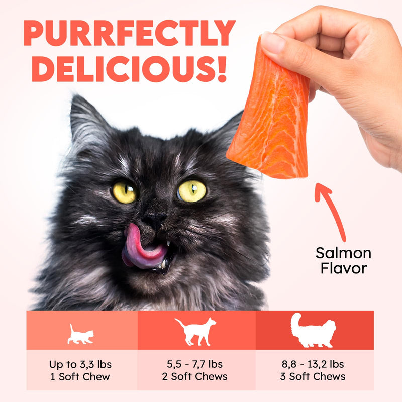 Bladder Chews for Cats UTI - Cat Urinary Tract Support with Cranberry & D-Mannose - Soft Bites for Feline Bladder & Kidney Health Prevention, Salmon - 200 Count