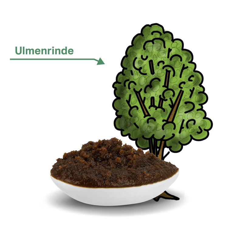 MEDIDOG 500g premium elm bark paste for dogs, ready to eat, better digestion, for eating stool, heartburn, diarrhea, slippery elm bark - PawsPlanet Australia