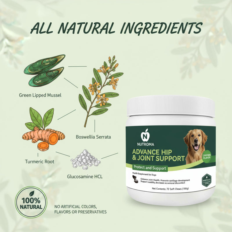 Dog Joint Supplement – Advanced Hip & Joint Support Soft Chews with Glucosamine, Chondroitin, MSM, Omega 3 & Green Lipped Mussels – Chicken Flavor Mobility & Cartilage Health – 72 Count
