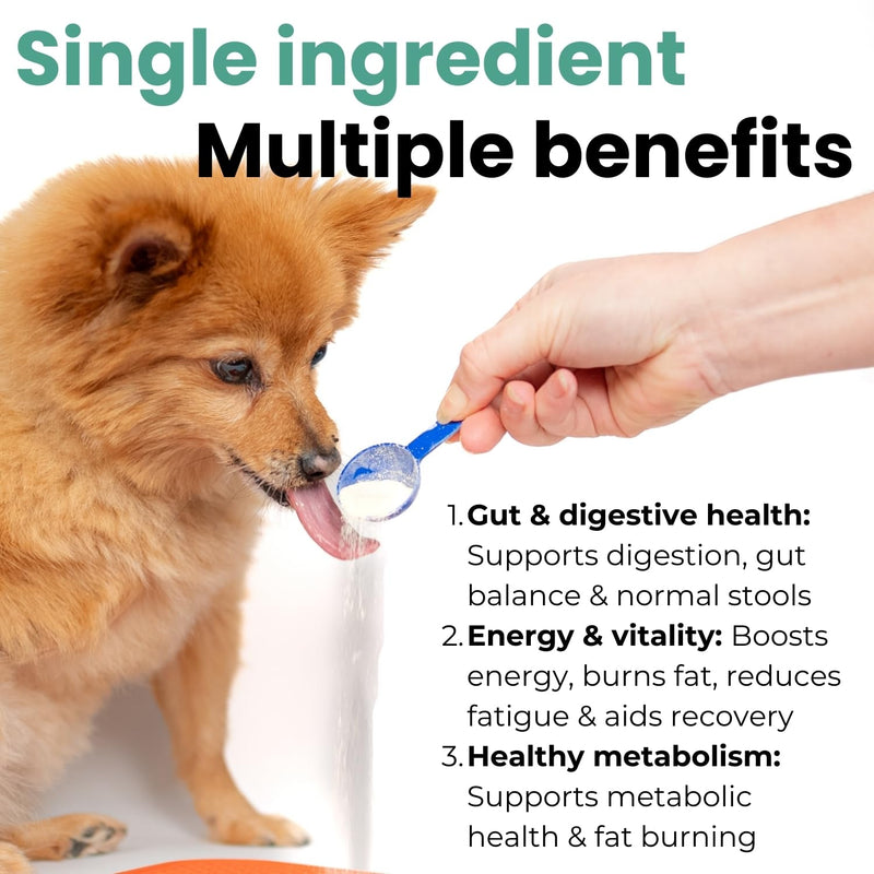 Brilliant Gut & Digestion Salmon Peptide Powder for Dogs & Cats – 100% Natural Single Ingredient Food Topper, Supports Digestive & Immune Health, Skin & Coat – Human Grade, 7oz 7 oz