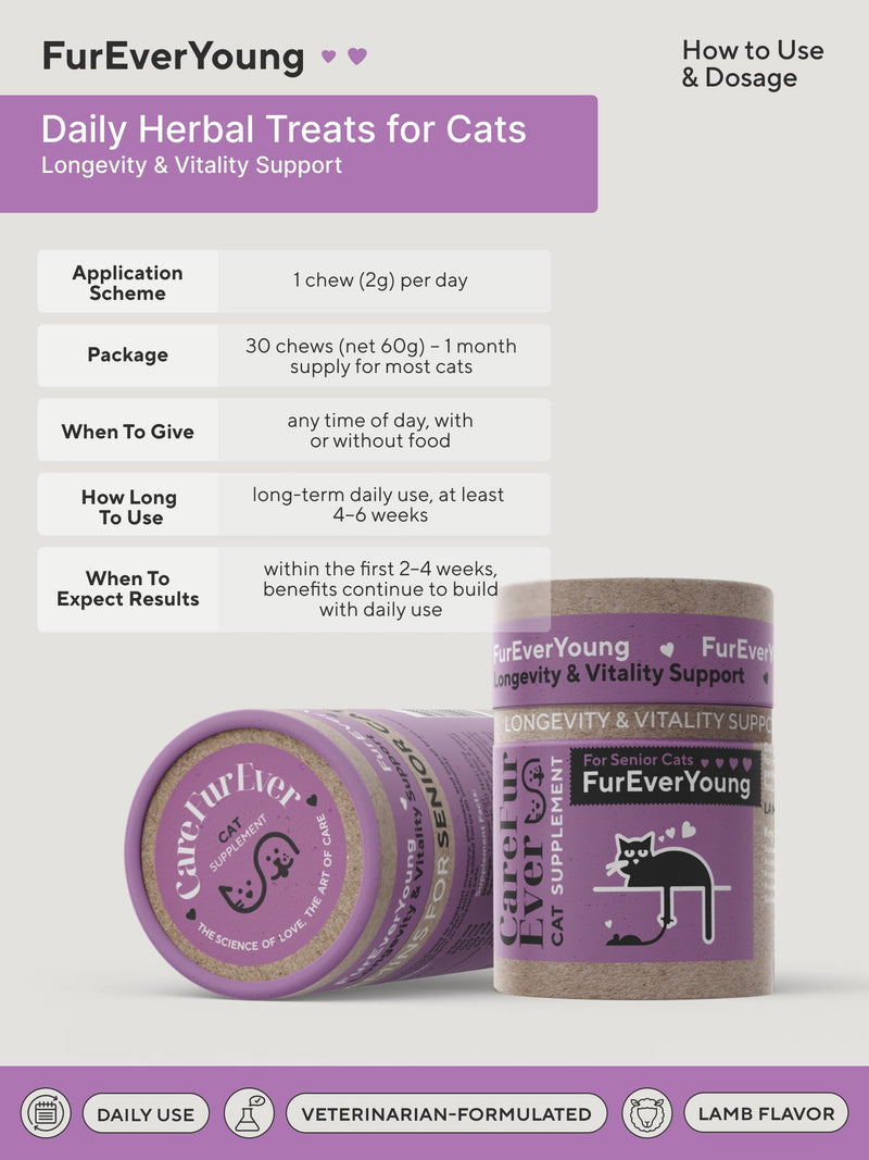 Supplement Treats for Senior Cats ~ Cognitive Support | Premium Feline Longevity Stack | Lion's Mane Mushroom + Taurine Complex | Brain & Vision Formula from Wellness Science | Lamb Flavor