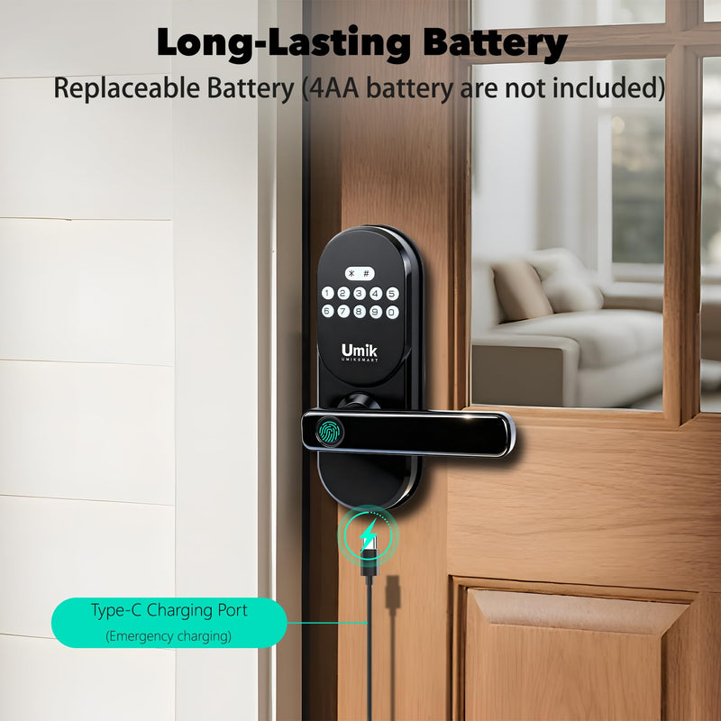 Fingerprint Smart Door Lock with Handle, Keyless Entry Door Lock for Front Door, Auto-Lock, APP Control, Easy Install (Black)