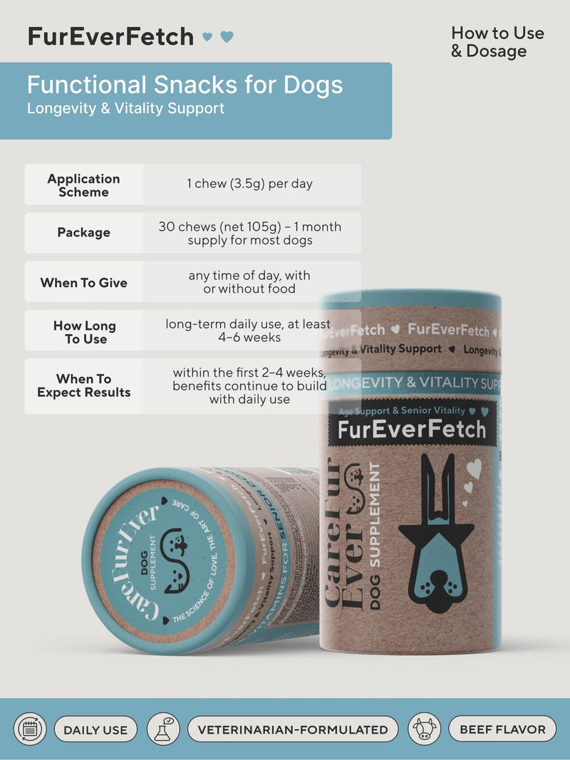 Supplement Treats for Senior Dogs ~ Cognitive Support | Premium Canine Longevity Stack | Lion's Mane, Turkey Tail & Phosphatidylserine | Biohacking Brain Health Formula | Beef Flavor