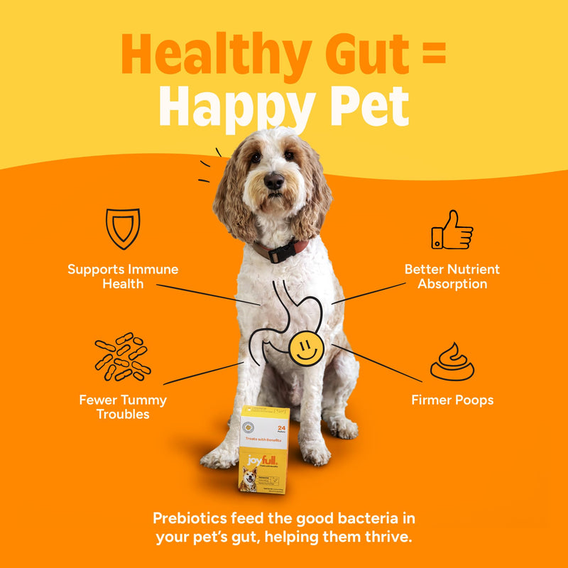 JoyFull Ultimate Dog Gut Health Bundle: Chicken Squeeze Treats (24 Ct) & Daily Probiotic Powder (30 Pkts) – Prebiotic & Probiotic Digestive Support, Immune Boost & Meal Topper for Picky Eaters