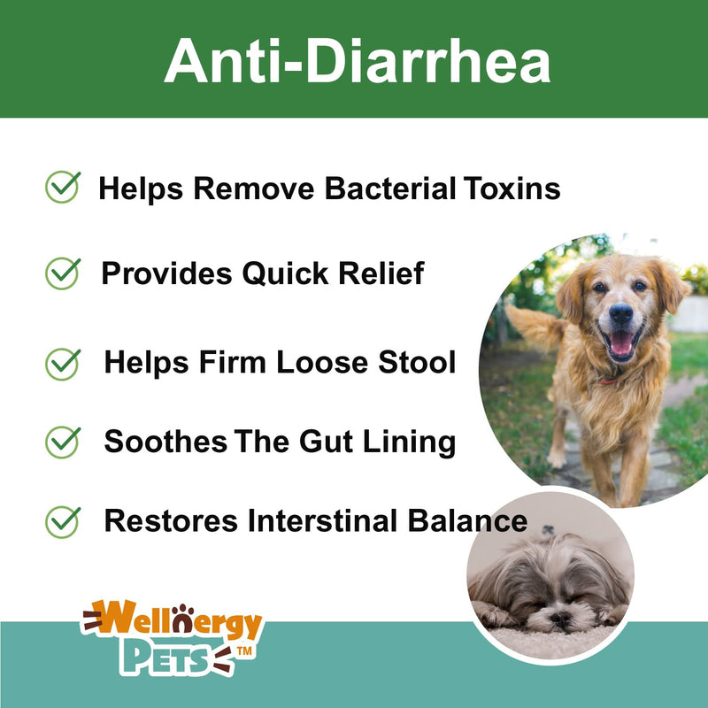 Anti-Diarrhea for Dogs & Cats (4 oz Liquid)(Syringe Included) - PawsPlanet Australia