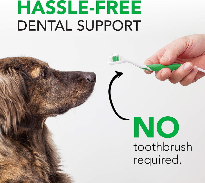 VetriScience Perio Support Teeth Cleaning Dental Powder for Dogs and Cats, Up to 192 Servings & Perio Plus Dental Sticks for Dogs, 30 Sticks Perio Powder & Dental Sticks Bundle