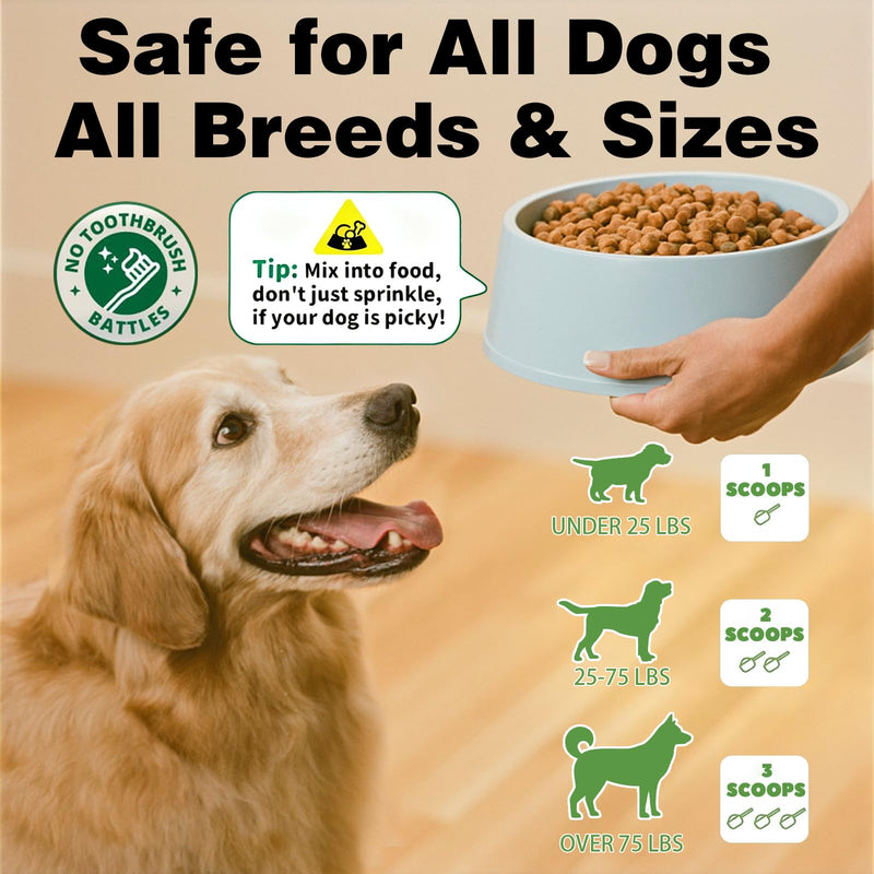 Dog Teeth Cleaning Powder, Dental Powder for Dogs Teeth Cleaning and Breath Fresh, Dog Tartar and Plaque Remover for Dental Care with Enzyme, Probiotics - Targets Tartar & Bad Breath - 150g 5.29 Ounce (Pack of 1)