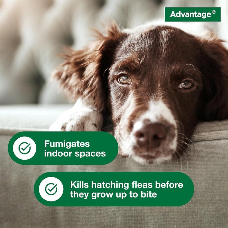 Bundle of Advantage Topical Cat Flea Treatment and Prevention for Small Cats 2-9 lbs. + Advantage Household Fogger for Home | 2 oz. Canisters (Pack of 3) Small Cat + Fogger