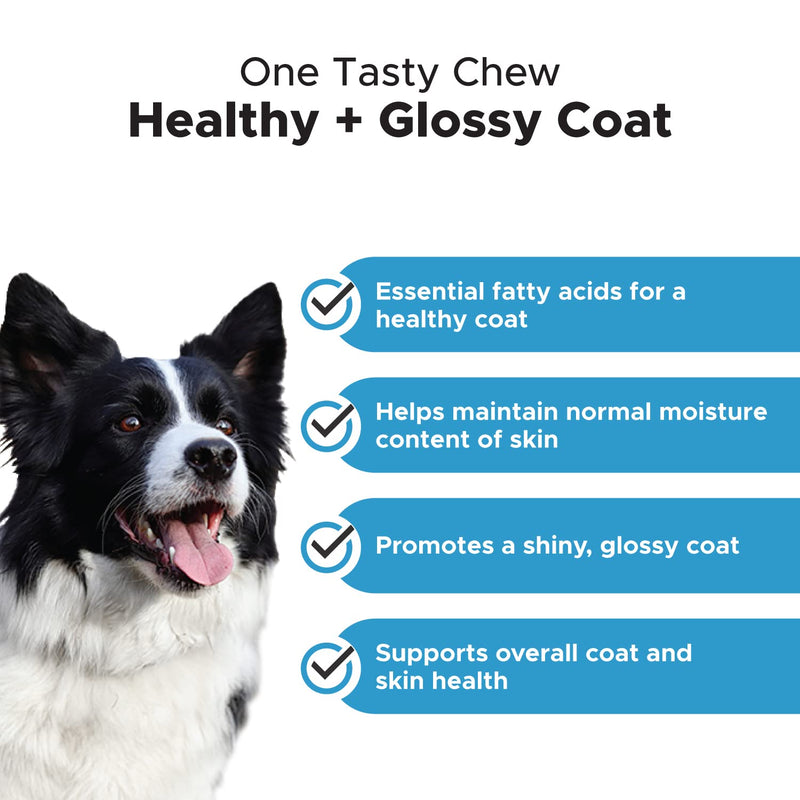 PetHonesty Chlorhexidine Shampoo + Skin Health Salmon Bundle - Itch Relief, Shiny Dog Coat, Dog Shampoo for Allergies, 100% Natural Fish Oil with Omega3s, Reduce Shedding, Healthy Skin & Coat - PawsPlanet Australia