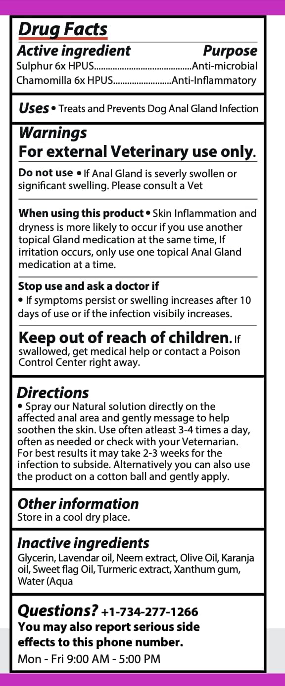 Petglow Anal Gland Medicine, Anal Cleaning for Dogs, Anal Gland Support, Pet Grooming Spray, Treats and Prevents Dog Anal Gland Infection, Feline Anal Gland Relief Hygiene Spray - 4 fl oz