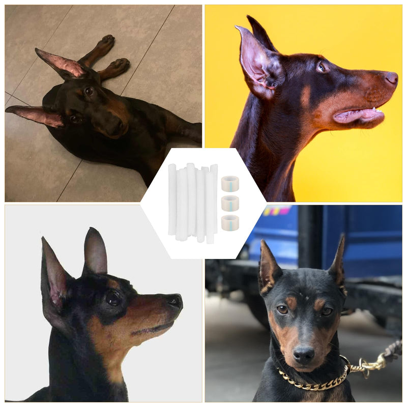 POPETPOP 10 pcs Doberman Dog Ear Posting Kit, Dog Ear Stand Up Support Tool, Dog Ear Fixed Correction Vertical Holder, Dog Ear Tape for Doberman Pinscher Dog - PawsPlanet Australia