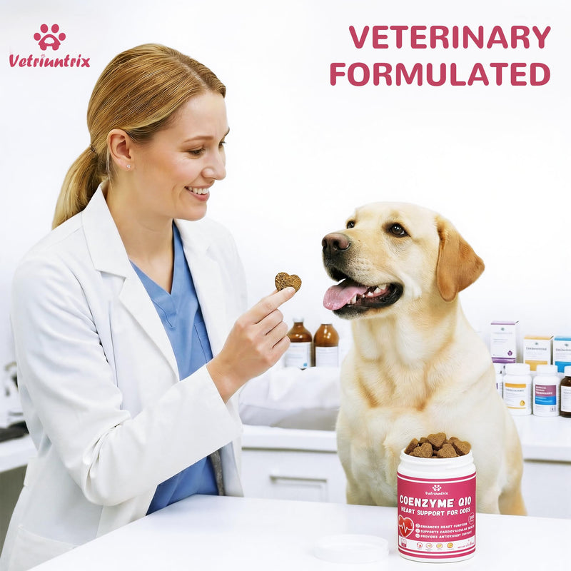 Heart Support Supplement for Dogs, Taurine for Senior & Puppy Dogs, Dog Multivitamin with CoQ10 & L-Carnitine for Heart, Cardiovascular & Antioxidant Support - 200ct Chicken 200 Chews