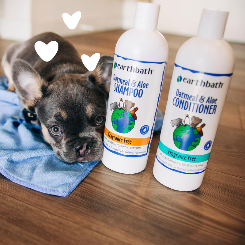 earthbath, Oatmeal & Aloe Dog Shampoo - Oatmeal Shampoo for Dogs, Itchy, Dry Skin Relief, Dog Wash, Made in USA, Cruelty Free, Fragrance Free Pet Shampoos - 16 Oz (1 Pack) Pack of 1 - PawsPlanet Australia