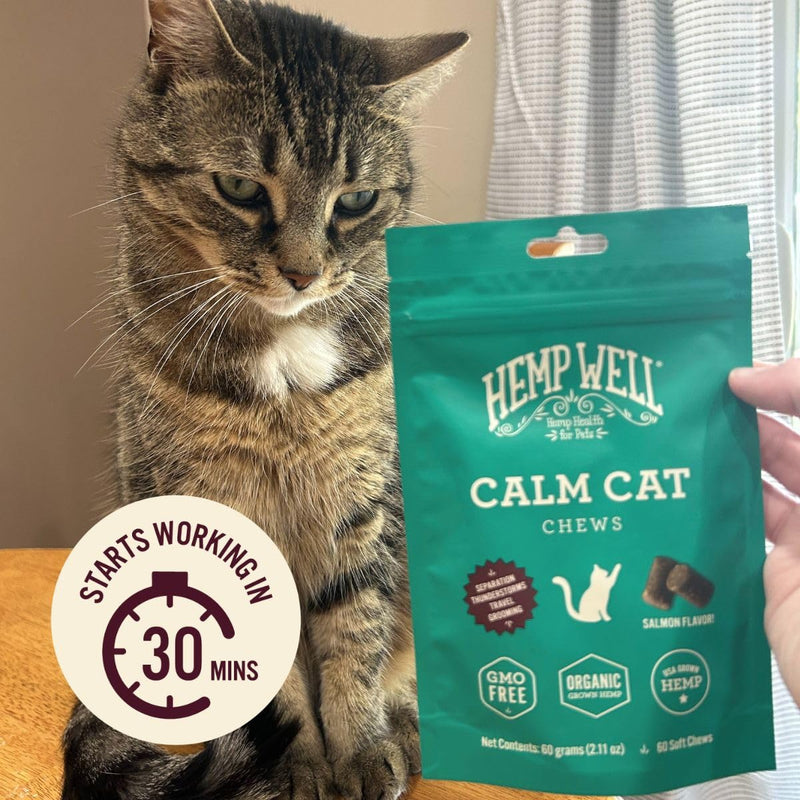 Hemp Well Calm Cat Soft Chews - Anxiety & Stress Relief Formula, Organic Ingredients, Soothes & Relaxes, Improves Behavior, 60 Count 60 Count (Pack of 1)