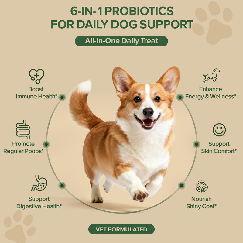 Probiotics for Dogs - Dog Probiotics for Yeast, Itchy Skin and Itchy Ears, Digestive Health, Diarrhea Relief, Gut & Immune Support - with 7 Enzymes, 3 Prebiotics & Omega-3 (Duck 30ct) 30 Soft Chews