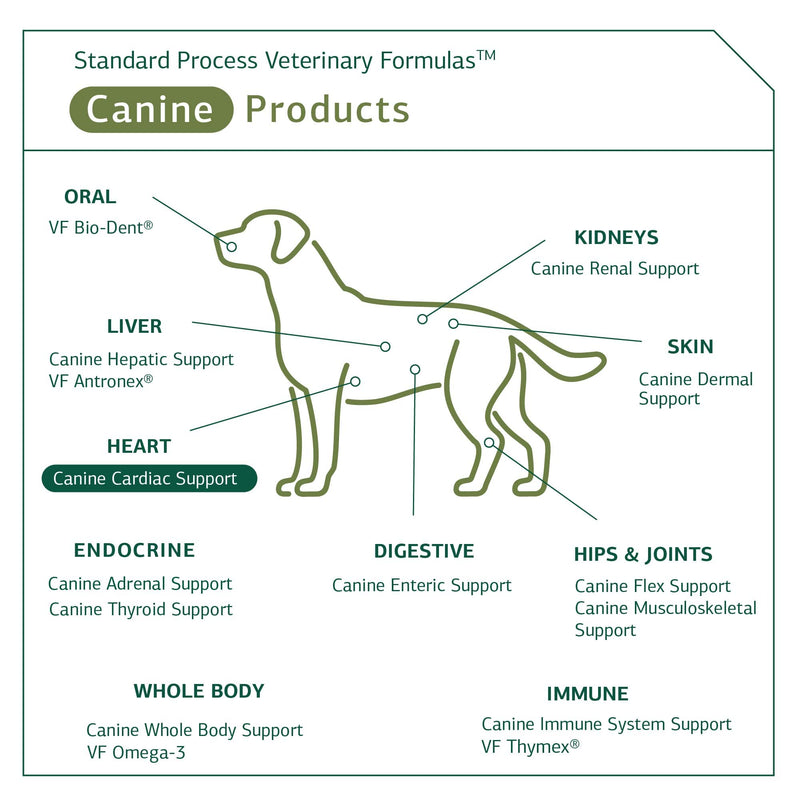 Standard Process Canine Cardiac Support - Dog Heart Health Support Supplement - Nutritional Supplement Formula to Support Cardiac Function - Pet Health Supplement with Selenium - 25 g 25 Grams (Pack of 1) - PawsPlanet Australia