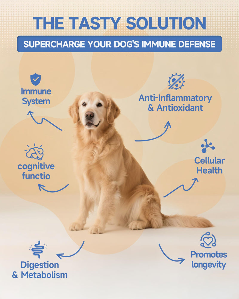 Daily Mushroom Wellness Duo: 18-in-1 Liquid Drops + 8-in-1 Powder for Dogs | Immune Support, Joint Health & Shiny Coat | Savory Chicken Flavor | All-Natural Formula for All Breeds & Ages
