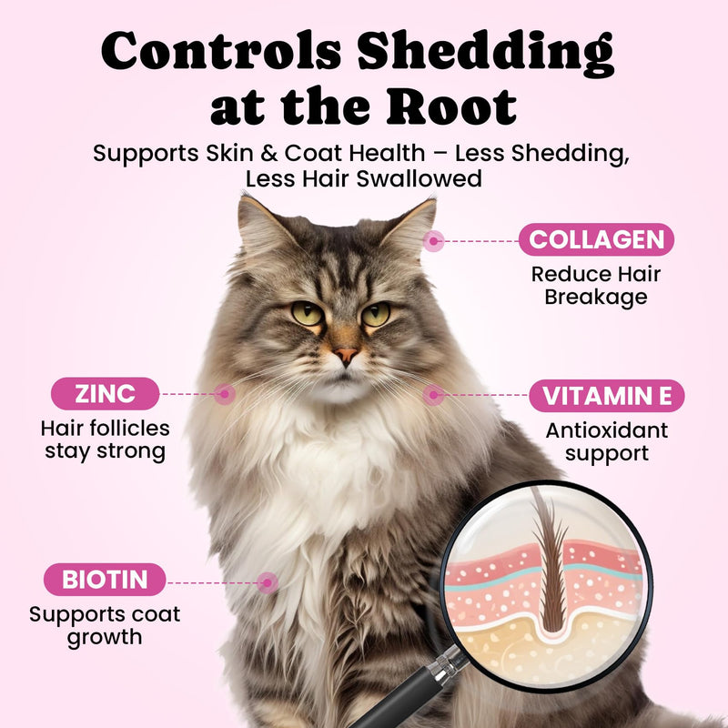 Hairball & Ear Care Bundle for Cats – Hairball Control Treats + Ear Cleaning Finger Wipes