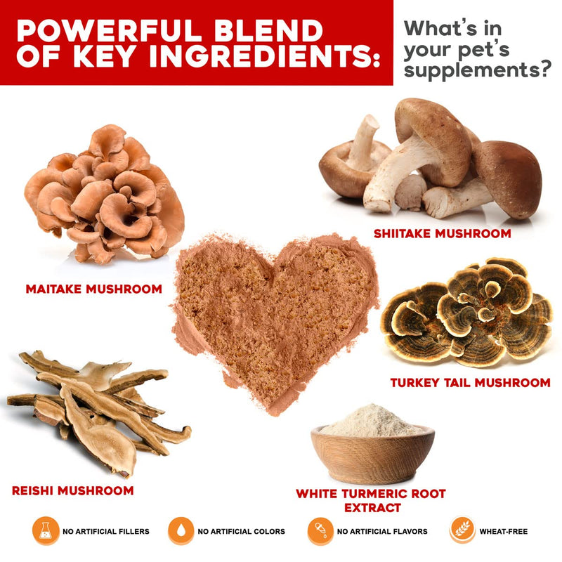 Critical Immune Defense for Dogs & Cats; Supports Normal Cell Growth - Turkey Tail, Reishi, Shiitake and Maitake Mushroom Formula with Patented White Turmeric Root Extract Pack of 1 - PawsPlanet Australia