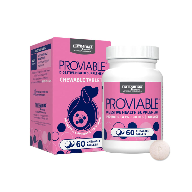 Nutramax Proviable Probiotics for Dogs, Daily Digestive Health Supplement with Multiple Strains of Bacteria, Dog Probiotics Plus Prebiotics, 60 Chewable Tablets 60 Count (Pack of 1)