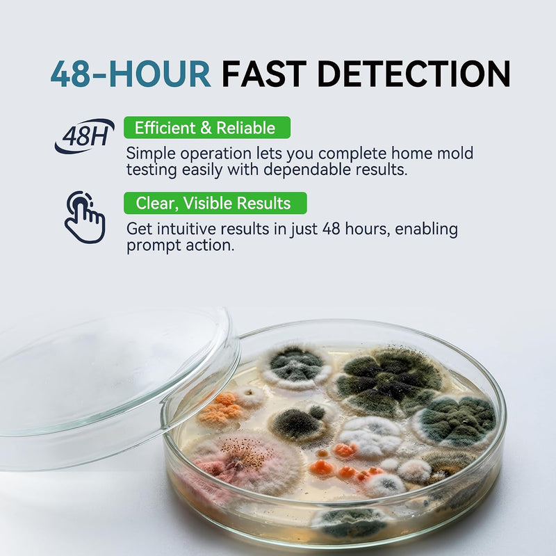 Mold Testing Kit with 5 Individual Tests - DIY Mold Test Kit for Home - Includes Detailed Mold Identification Guide - Fast and Reliable Mold Detector for Home - NewNest Australia